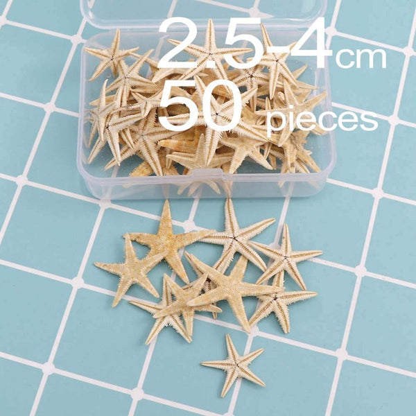 1 Box Natural Starfish Seashell Beach Craft Natural Sea Stars DIY Beach Wedding Decoration Crafts Home Decor Epoxy 1-5cm