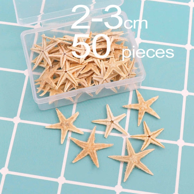 1 Box Natural Starfish Seashell Beach Craft Natural Sea Stars DIY Beach Wedding Decoration Crafts Home Decor Epoxy 1-5cm