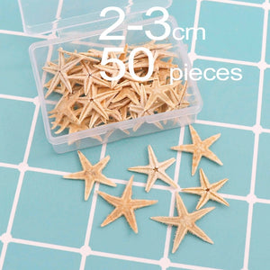 1 Box Natural Starfish Seashell Beach Craft Natural Sea Stars DIY Beach Wedding Decoration Crafts Home Decor Epoxy 1-5cm