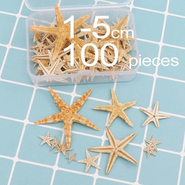 1 Box Natural Starfish Seashell Beach Craft Natural Sea Stars DIY Beach Wedding Decoration Crafts Home Decor Epoxy 1-5cm